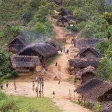 Karnataka AADIVASI HAKKI PIKKI HERBAL HAIR OIL   +91 8884444390