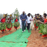 Karnataka AADIVASI HAKKI PIKKI HERBAL HAIR OIL   +91 8884444390