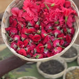 Karnataka AADIVASI HAKKI PIKKI HERBAL HAIR OIL   +91 8884444390